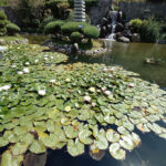 jardin-japones-santiago-4